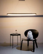 овальные люстры подвесные RdLamp теплый свет 2700K