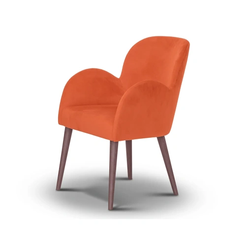 Полукресло Klint. Стиль Ретро. Материал основания Бук. ID-2