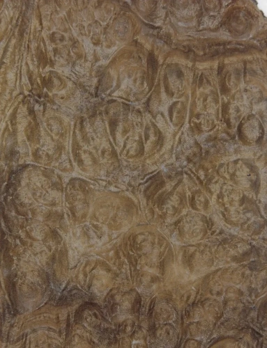 Отделка шпоном корня американского ореха