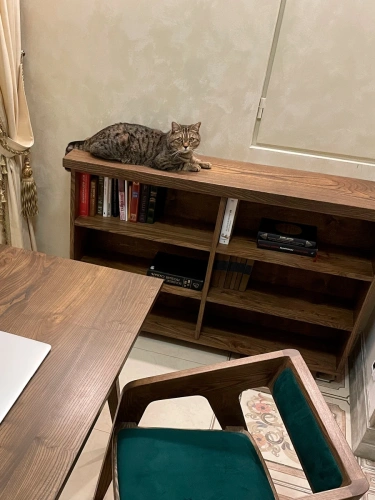 drevodesign-nizkij-stellazh-etazherka-iz-massiva-dereva-wa0101_1232634344