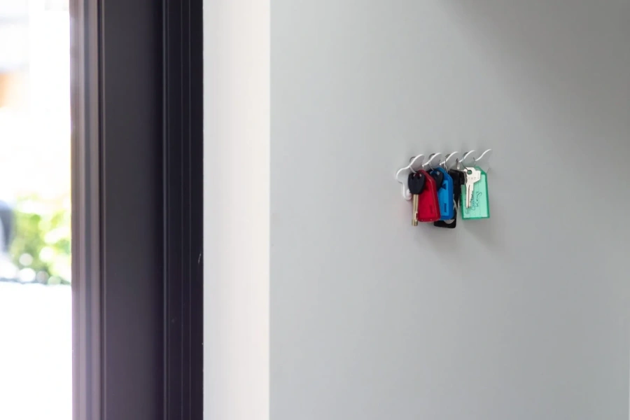 Вешалка MyOry Ex Five — дизайнерский органайзер на 5 крючков